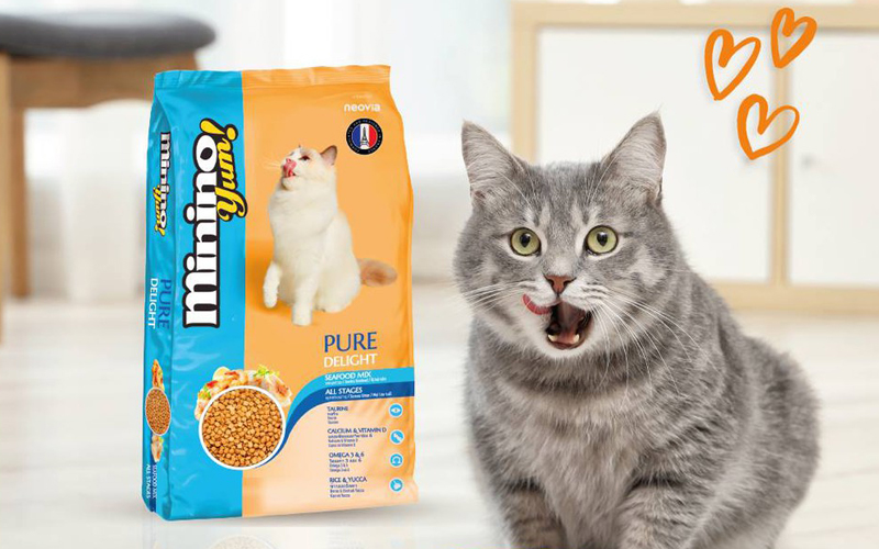 Mèo dễ bị ị ứng với hạt