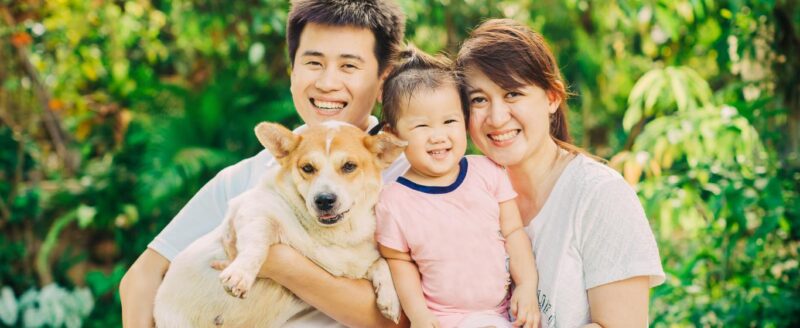 dinh dưỡng cho thú cưng