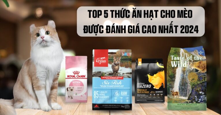 Hạt được đánh giá cao nhất